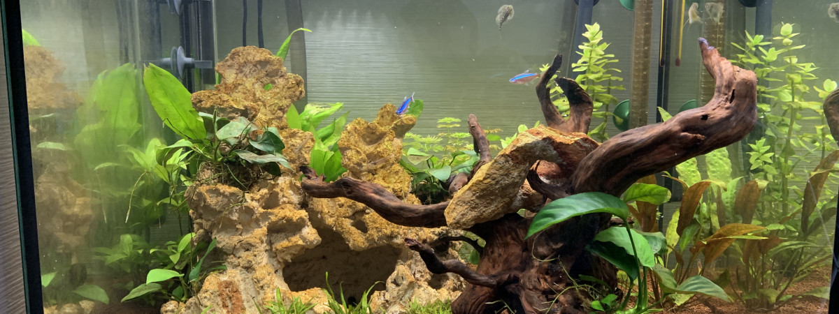 aquarium Eheim Vivaline 150