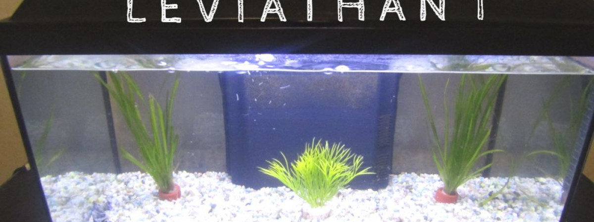 aquarium Léviathan 1