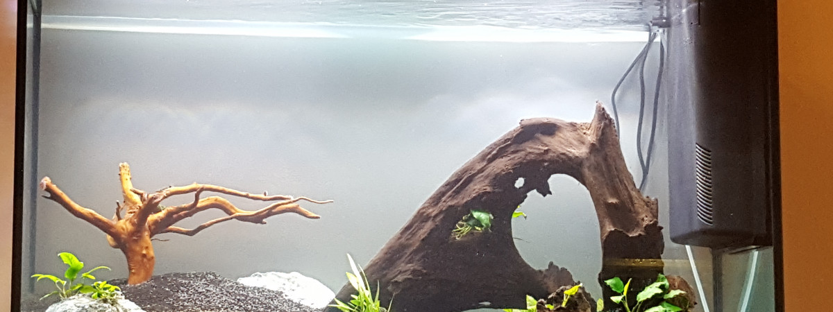 aquarium 200l