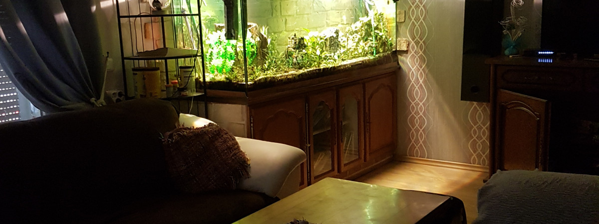 aquarium Aqua salon
