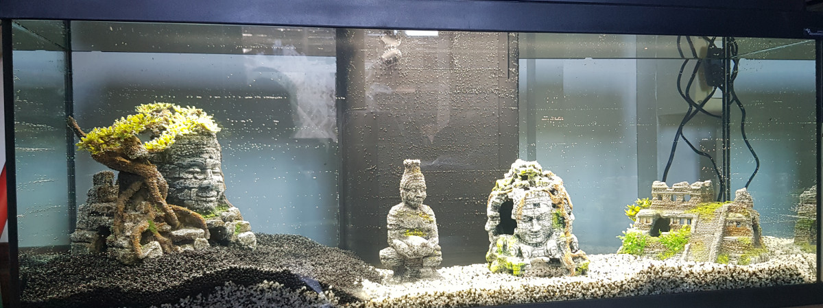 aquarium Premier