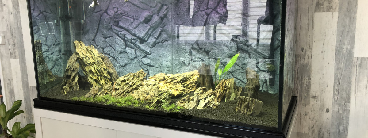 aquarium Mon aquarium