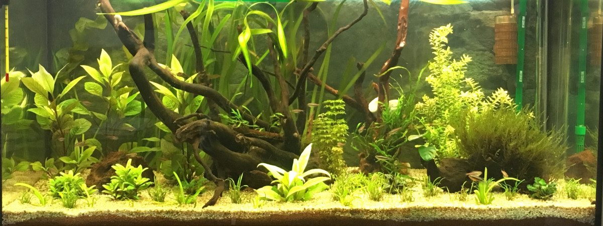 aquarium Bac 180l Jewell