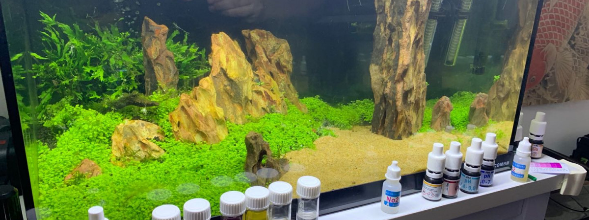 aquarium Aquascape 90l
