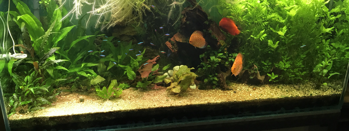 aquarium Aqua400
