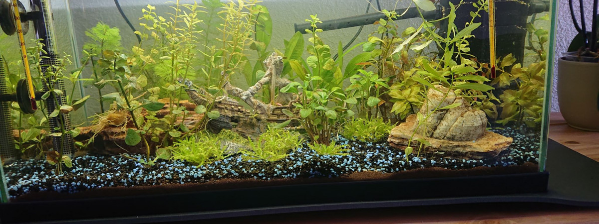 aquarium Premier Aqua