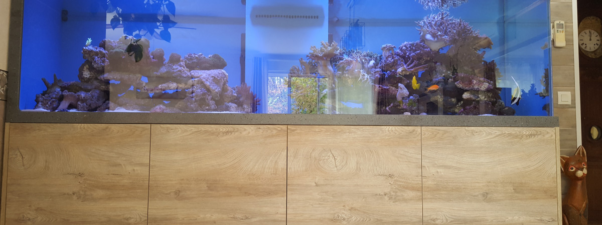 aquarium Recifal