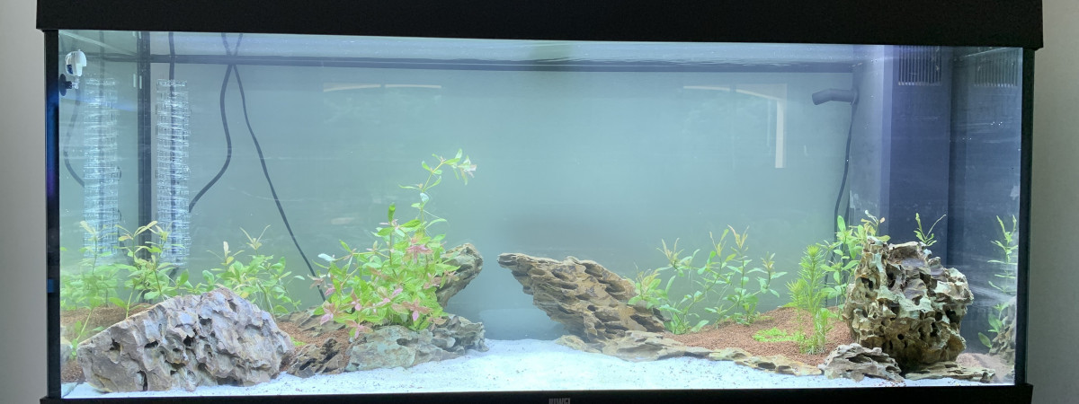 aquarium RIO 240