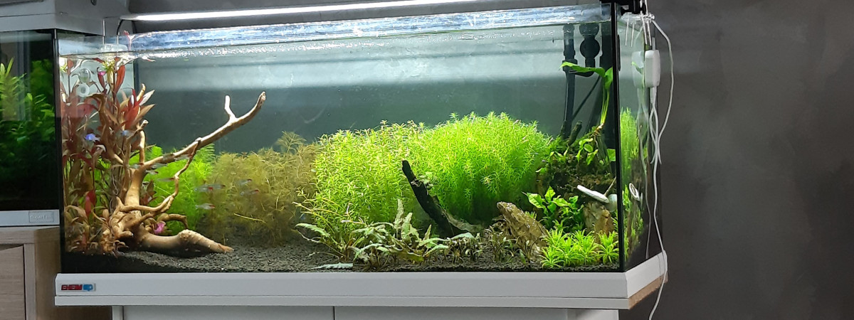 aquarium 180l