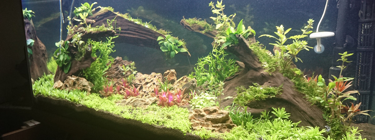 aquarium Juwel rio 180
