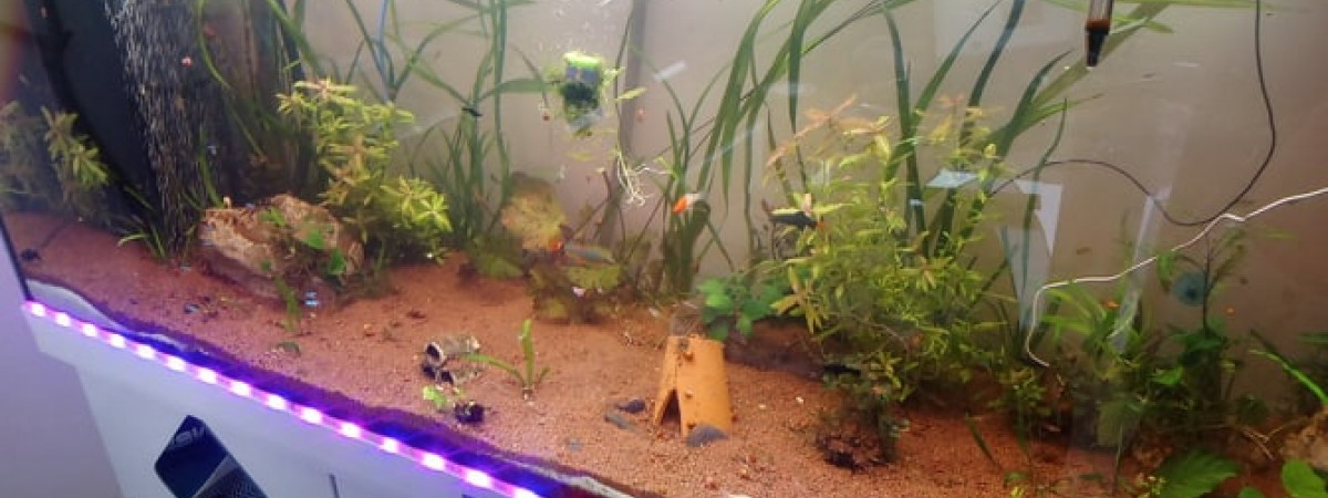 aquarium Rio 400