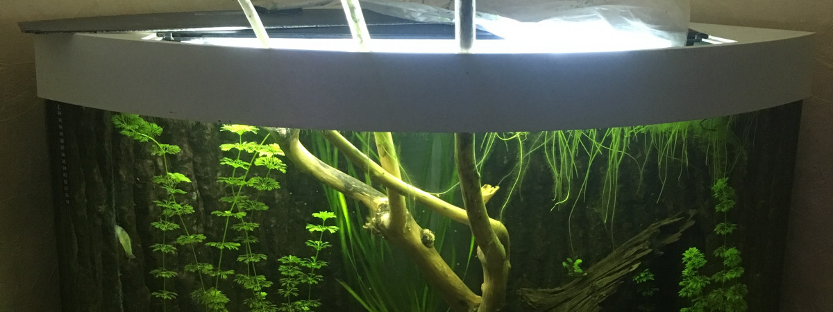 aquarium 190l