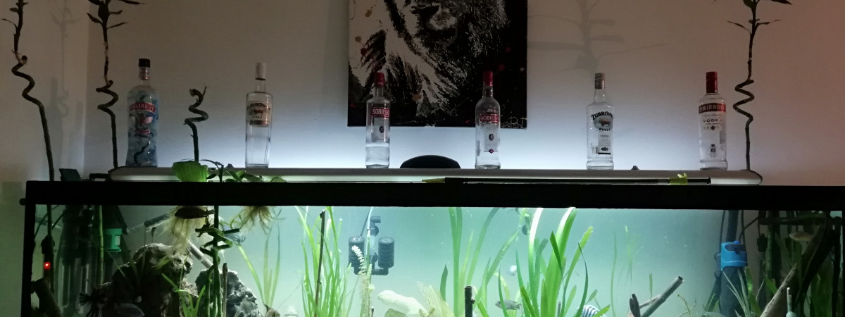 aquarium Poipoi