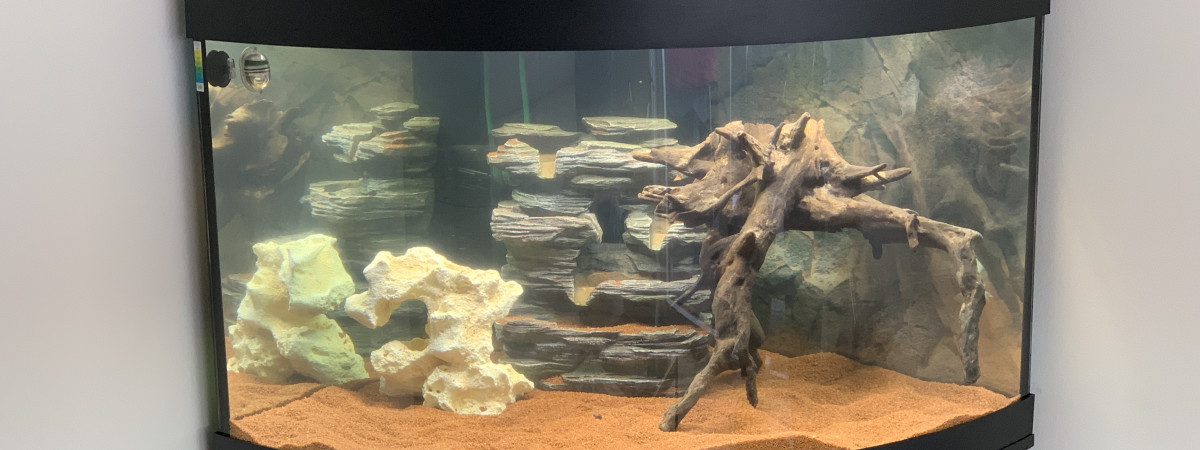 aquarium Qin Shi