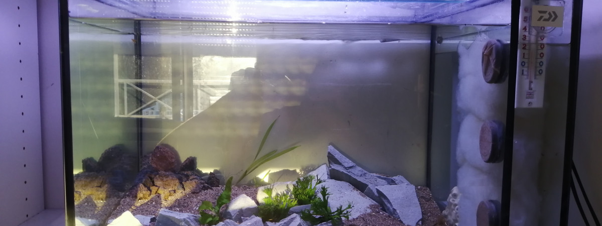 aquarium 83 littres