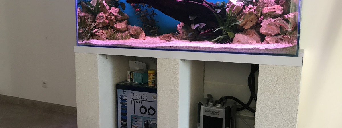 aquarium 450 L - Axolotl