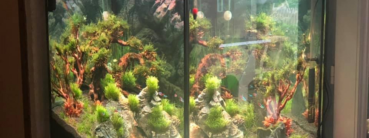aquarium Lido200
