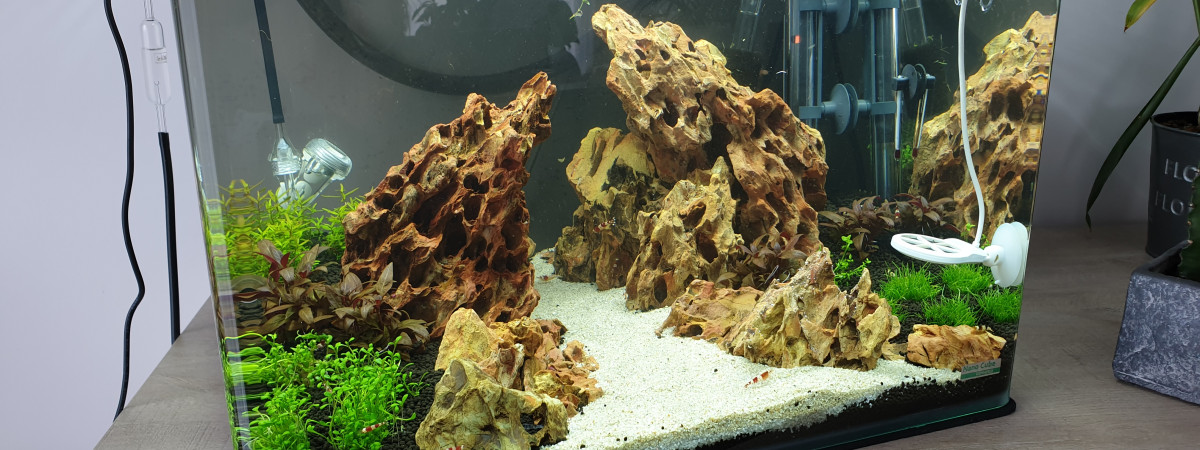 aquarium Guillin