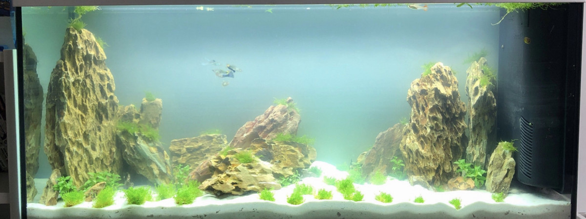 aquarium Aquarium Polo