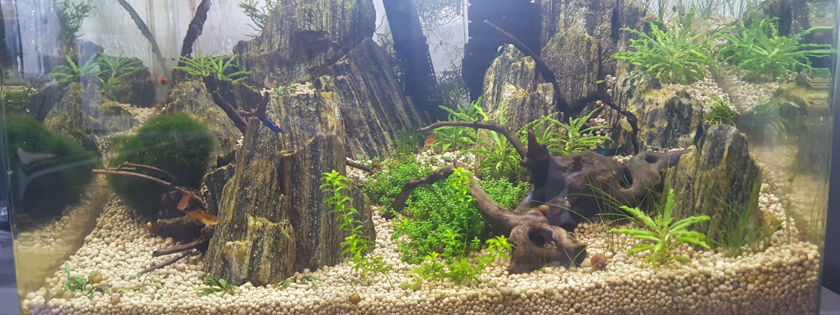 aquarium Nano 30 litres