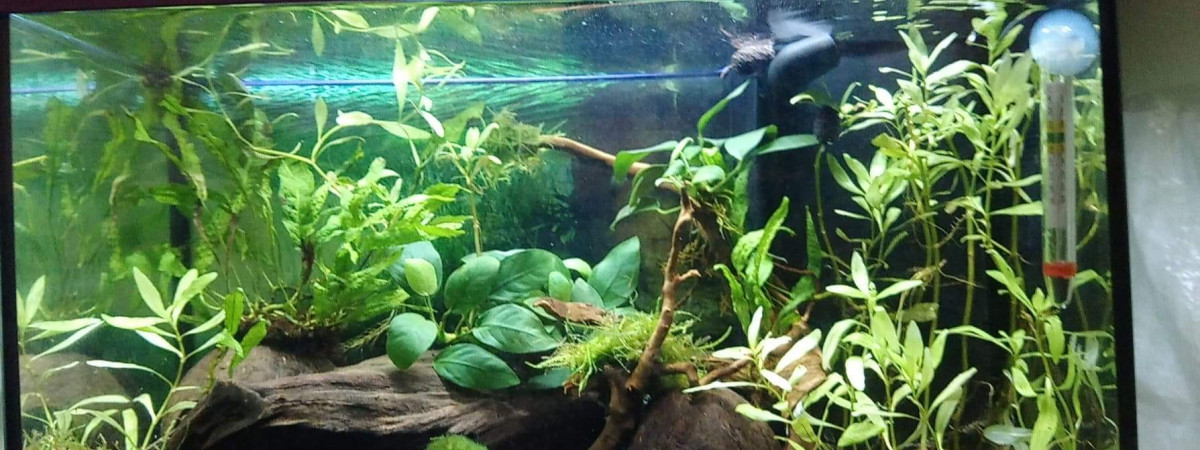 aquarium Aquatlantis