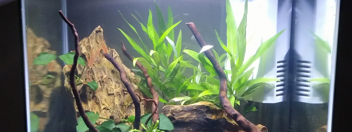 aquarium Nano 30L