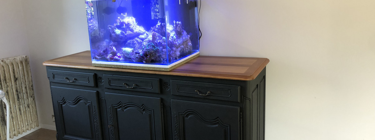 aquarium 200L cubique marin