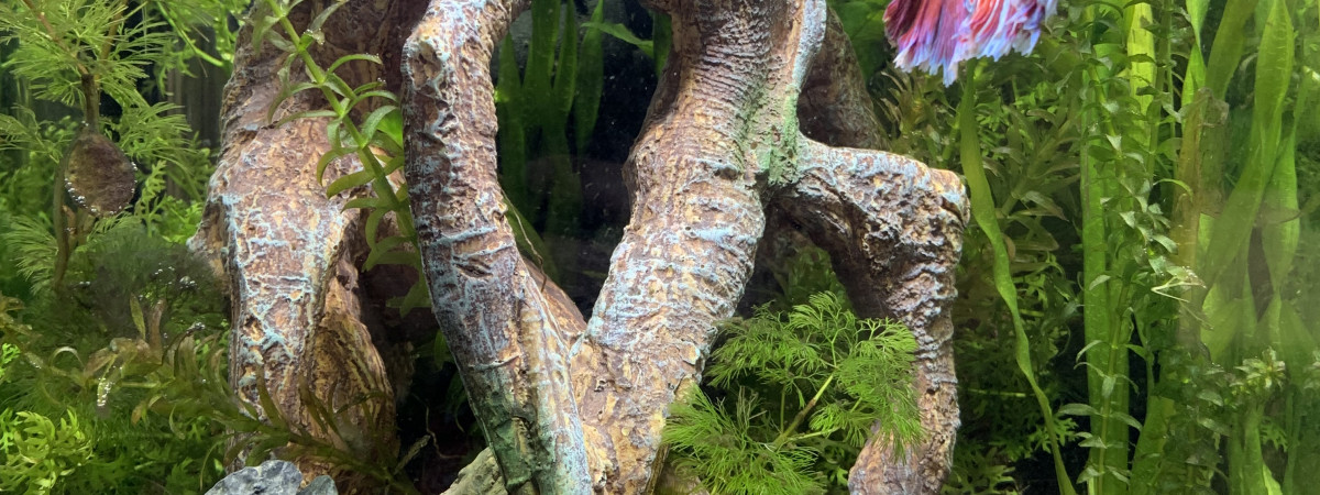 aquarium Nano Cube