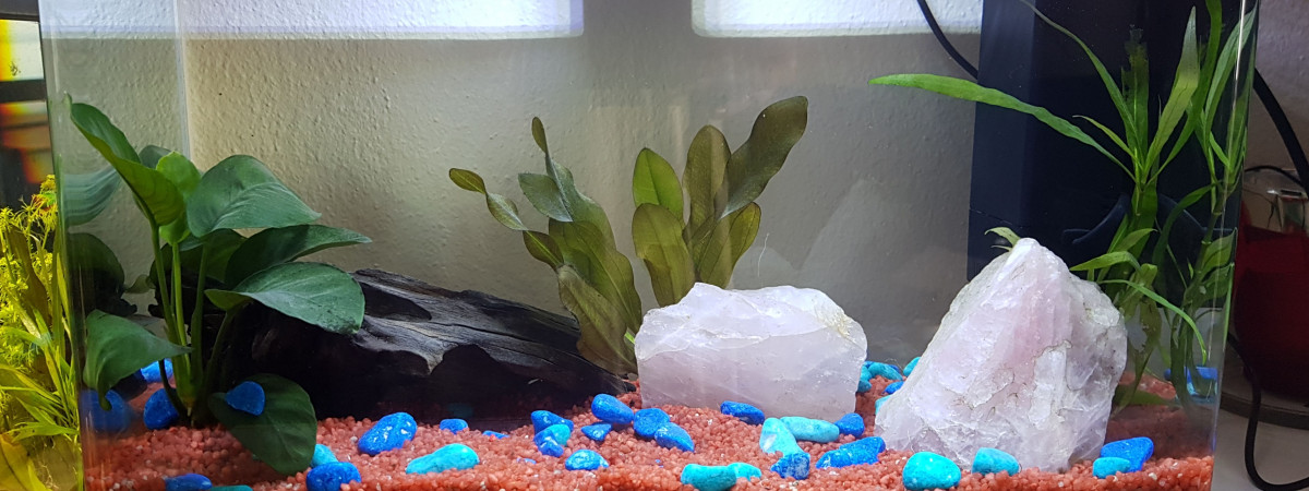 aquarium Blue