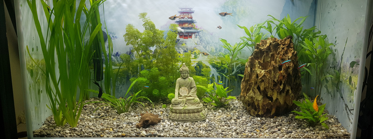 aquarium one