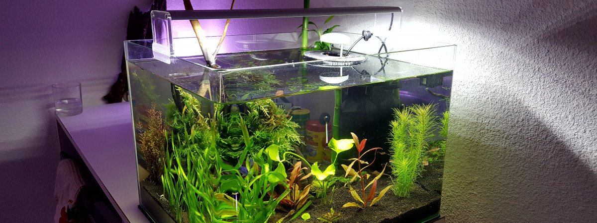 aquarium Nuage Dennerle Scapers Tank 35 L