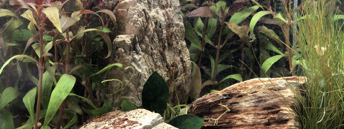 aquarium Nano 10 L bureau