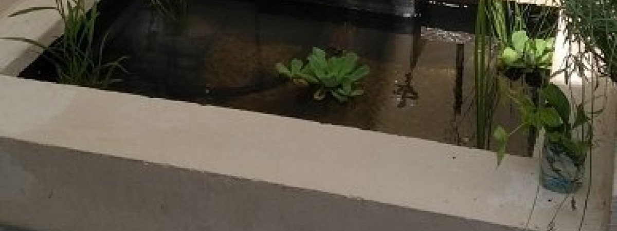 aquarium La fontaine