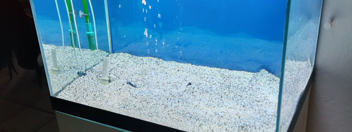 aquarium Mon aquarium