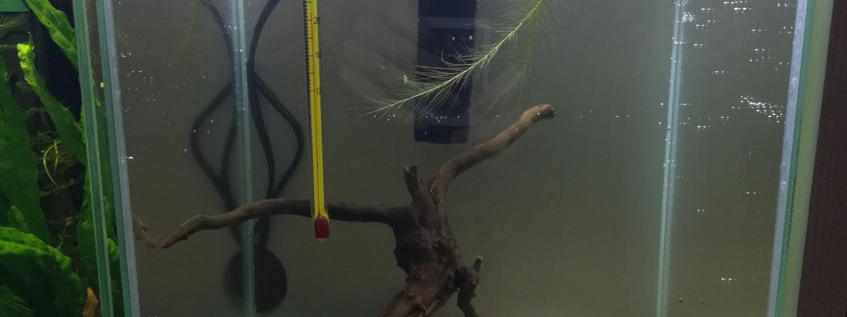 aquarium 18L Blue Velvet