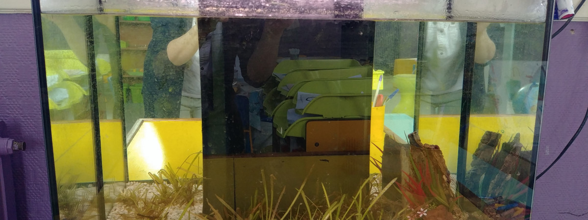 aquarium 80 L