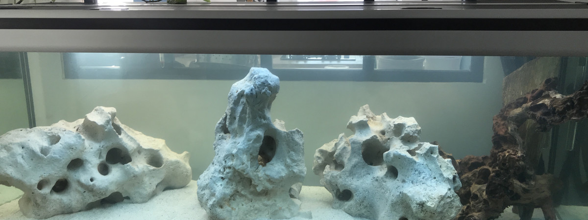 aquarium Mon Aqua