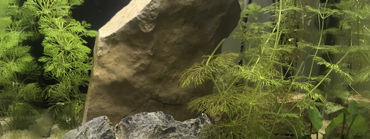 aquarium Bac a Betta 30L