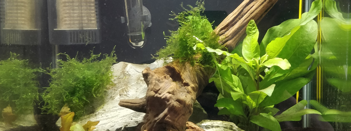 aquarium Nano