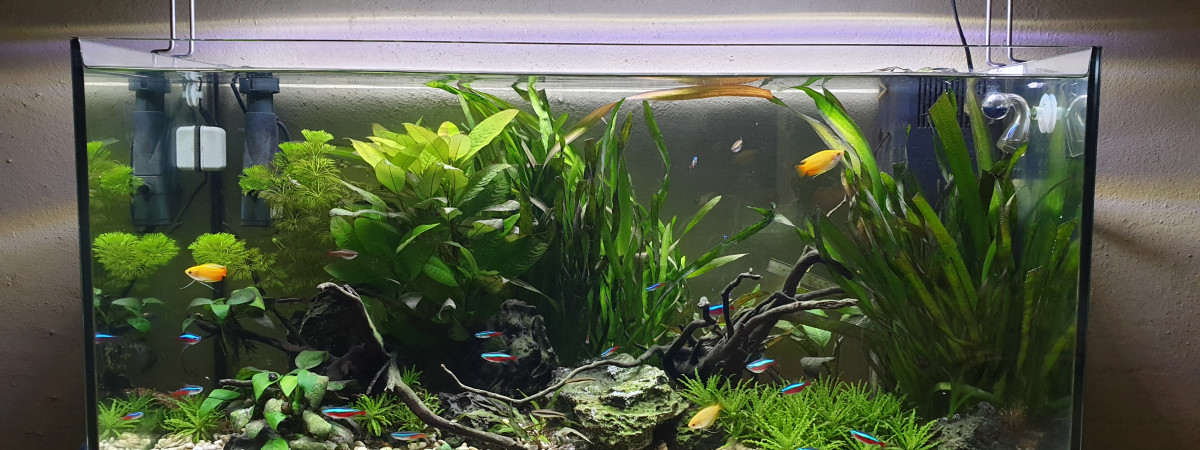 aquarium Juwel Primo 110