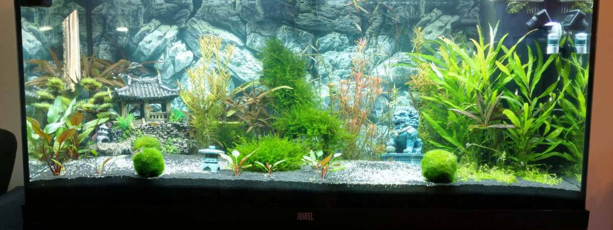 aquarium Bac RIO 180