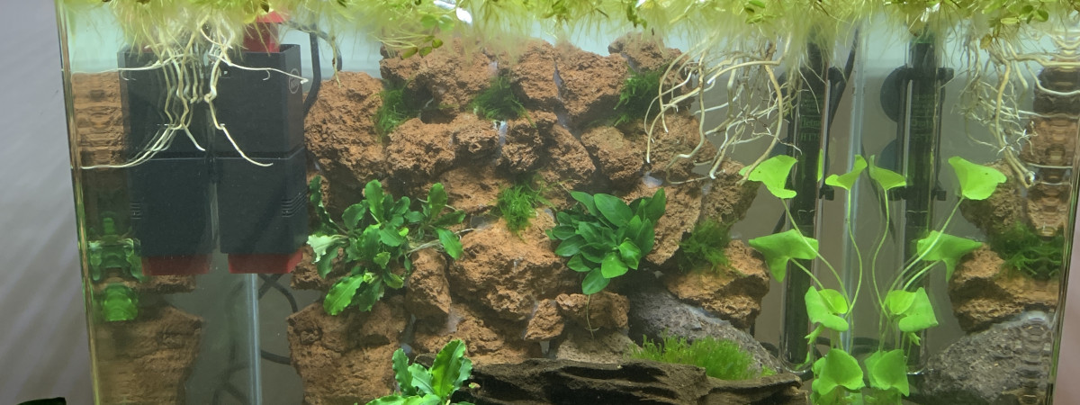 aquarium Nanocube 60L