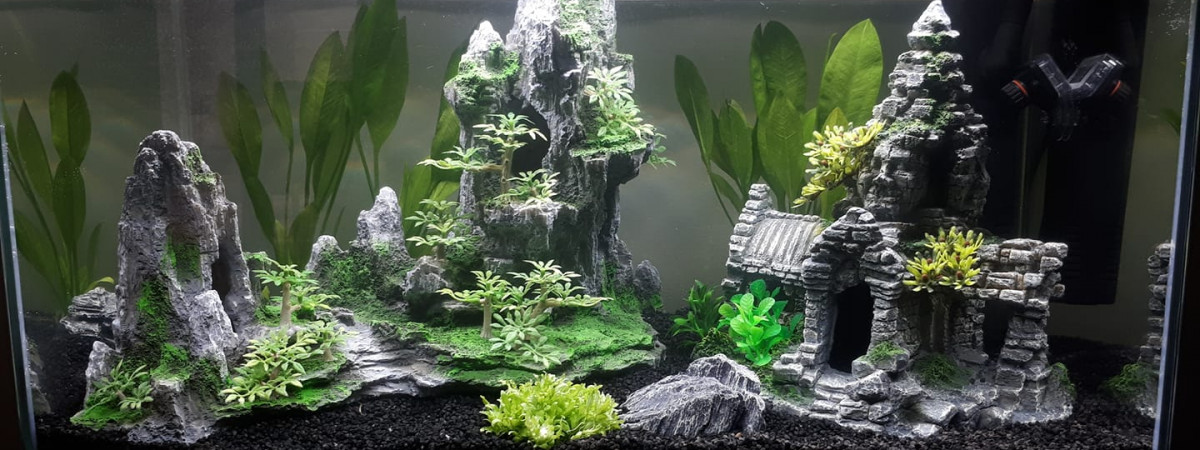aquarium Premier aquarium