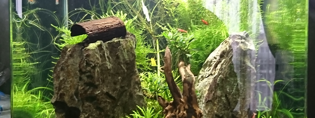 aquarium Nano Cube 60