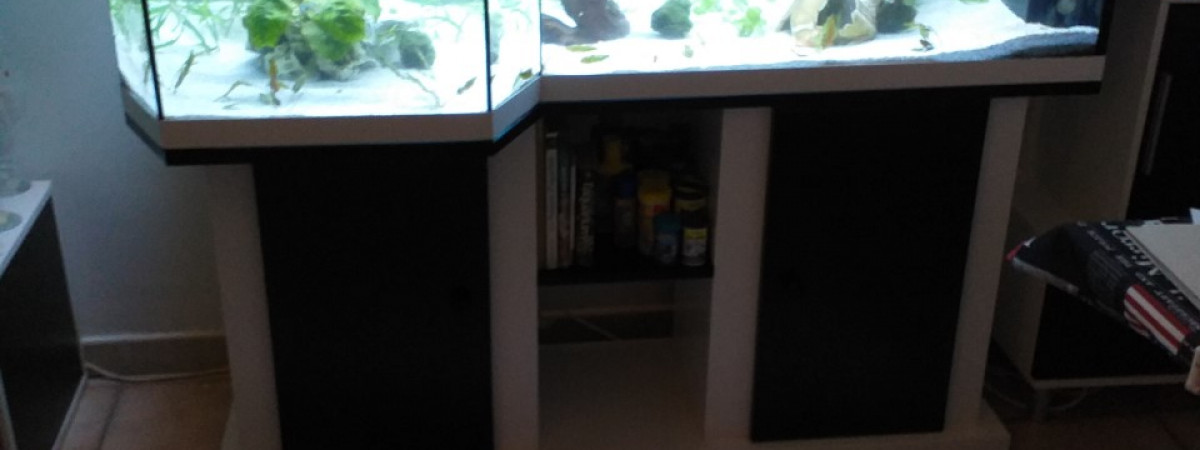 aquarium AQUARIUM 270 LITRES