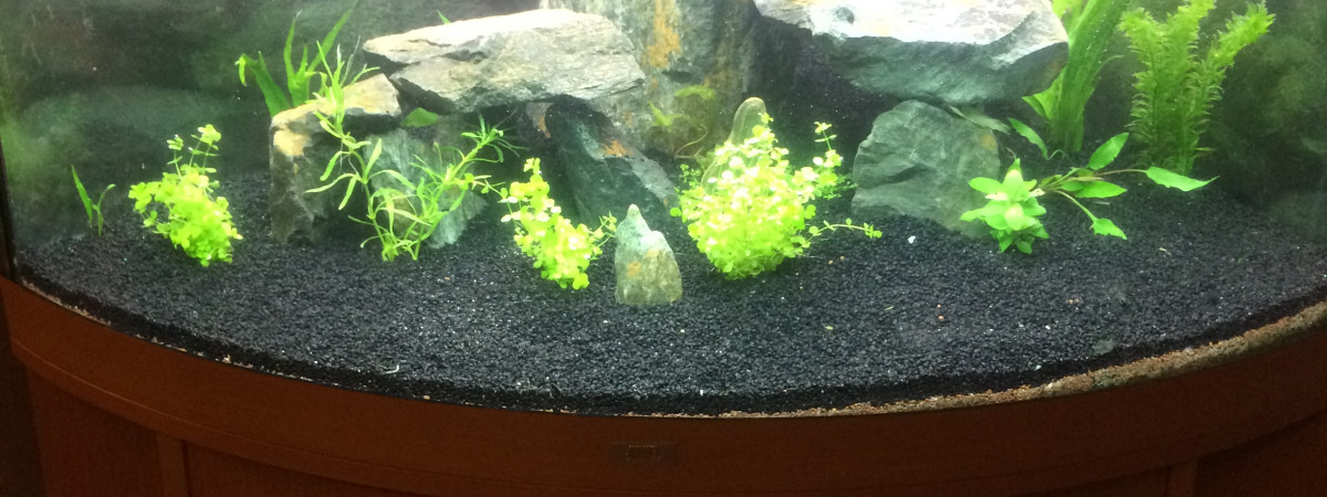 aquarium Jumelle trigon 190