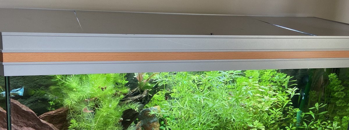 aquarium 200 litres