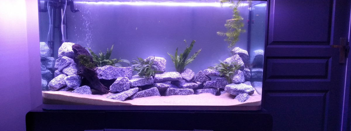 aquarium Osaka 320