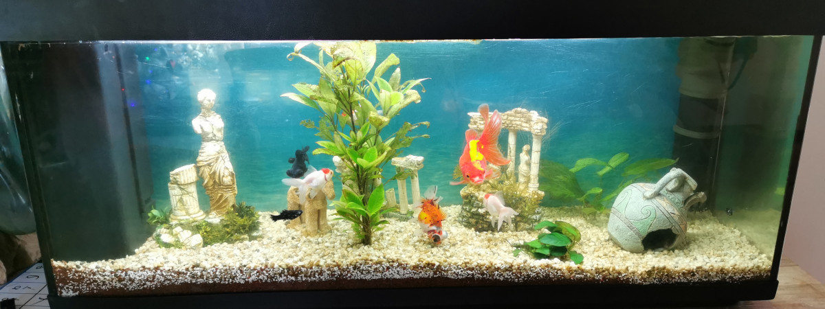 aquarium Grec