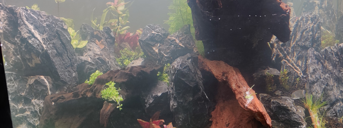 aquarium Bac Rouen